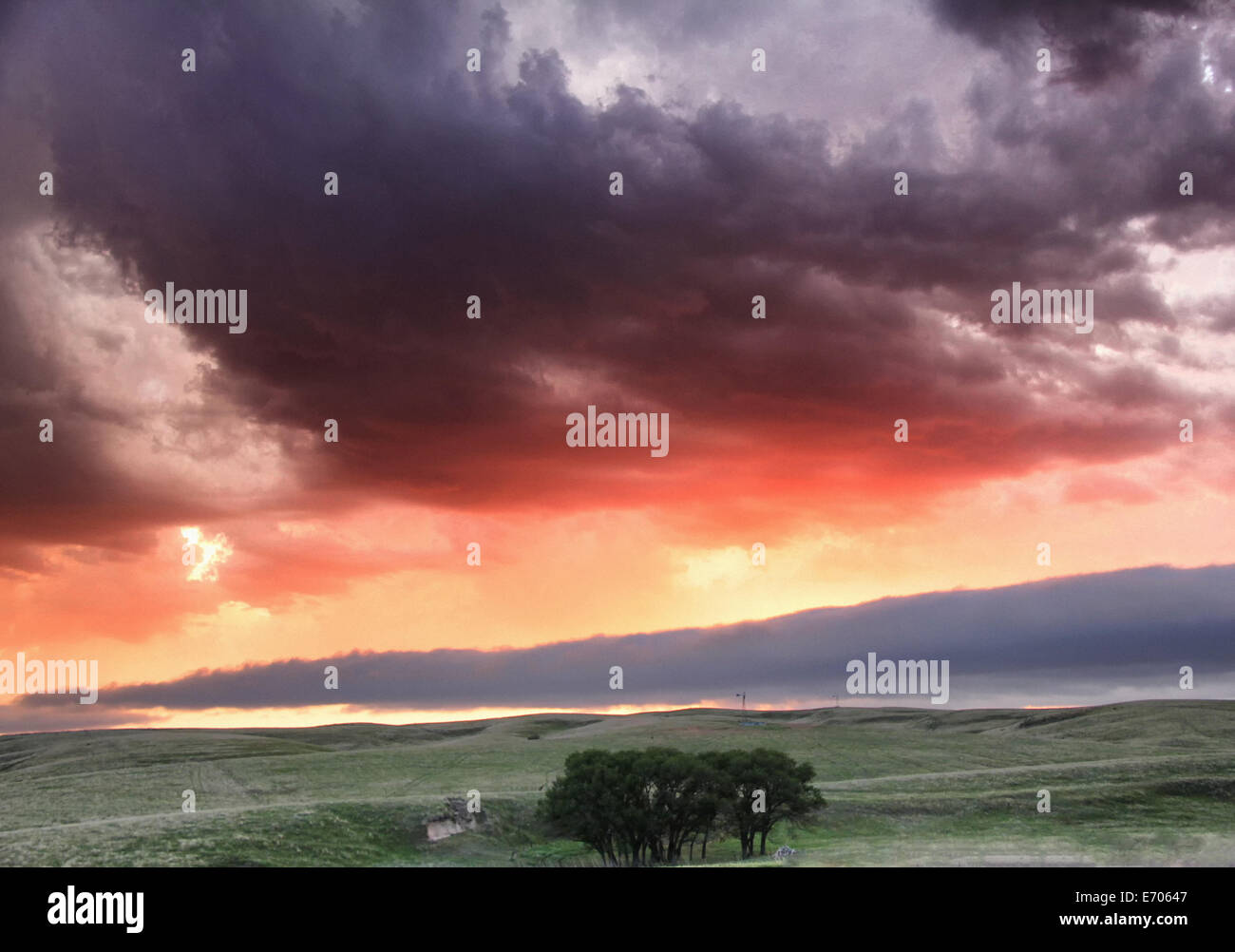 Roll cloud hangs low in the distance with sunset colors reflecting ongoing storm convection, Lexington, Nebraska, USA Stock Photo