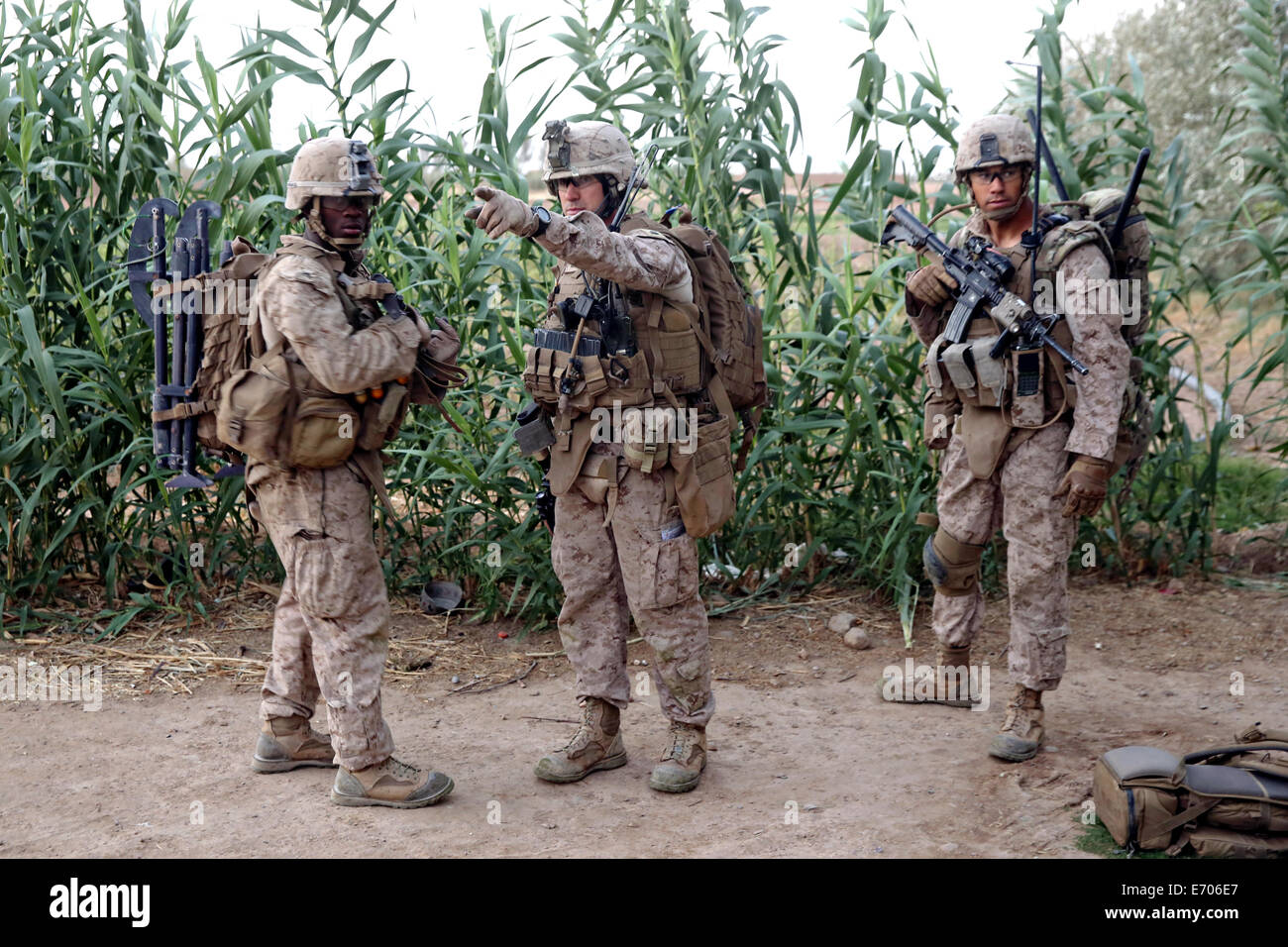 US Marines prepare to spread out during a counter insurgency mission in a village August 16, 2014 in Helmand province, Afghanistan. Stock Photo