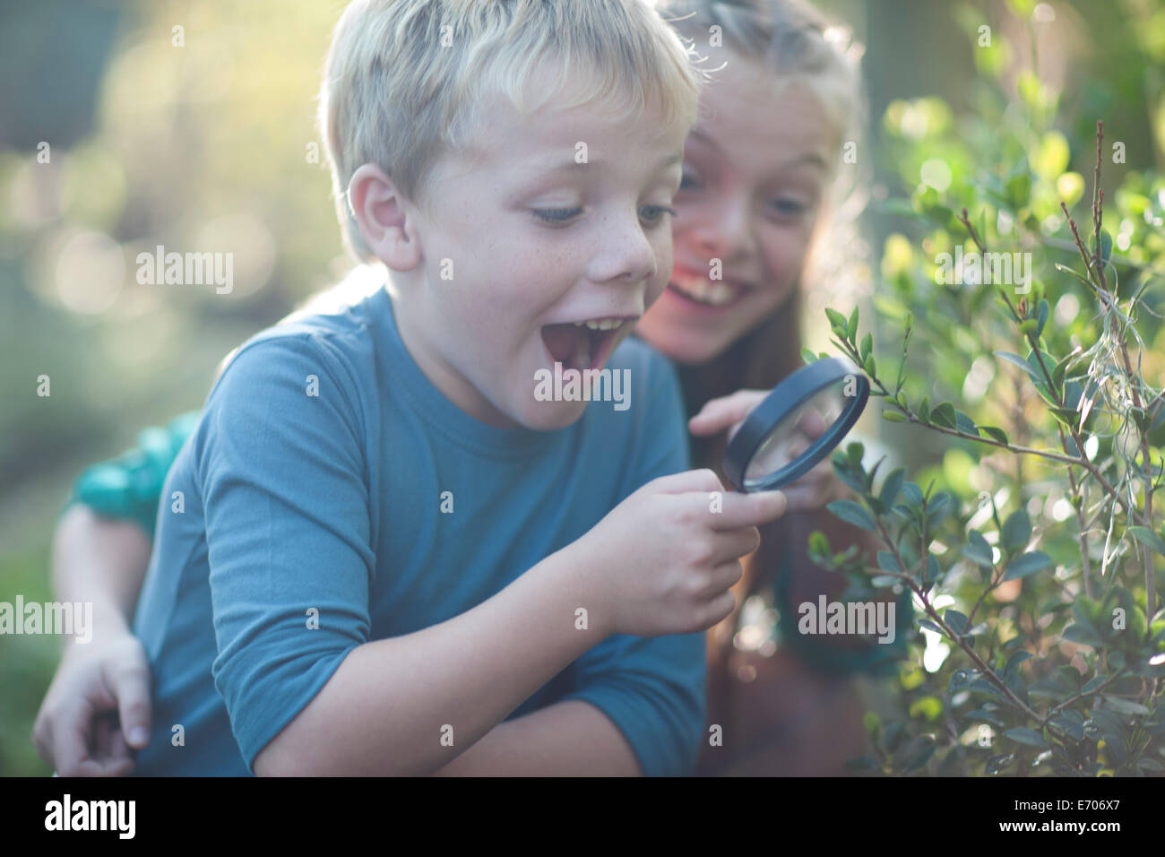 Brother and sister discovering plants with magnifying glass in garden Stock Photo