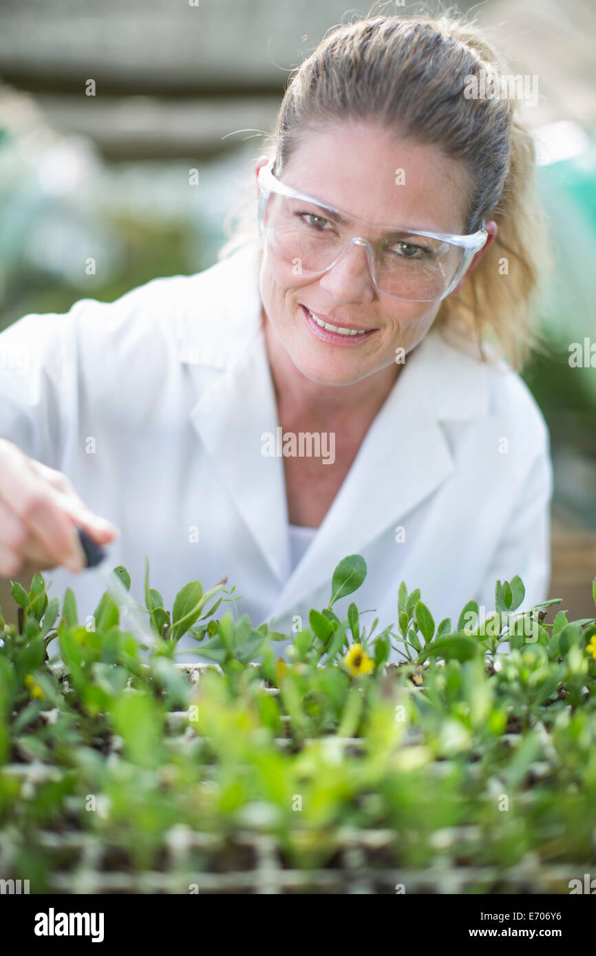 Portrait of female scientist pipetting liquid onto plant sample in polytunnel Stock Photo
