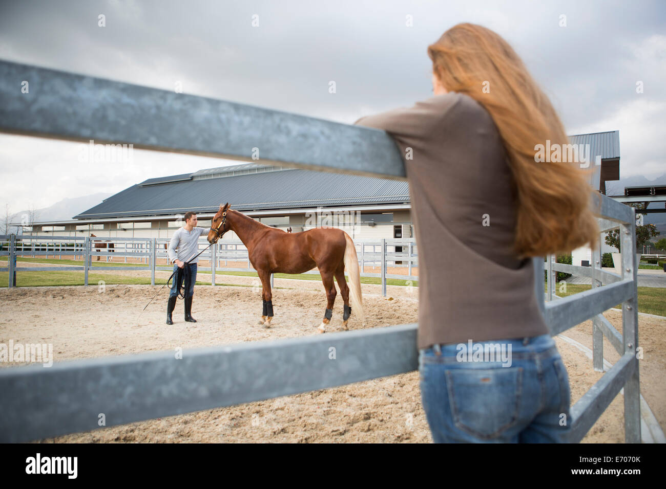 Young woman watching stablehand train horse in paddock ring Stock Photo ...