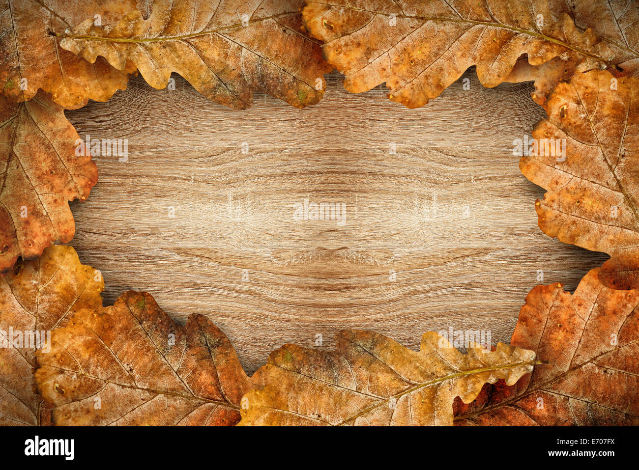 Dry oak leaves hi-res stock photography and images - Alamy