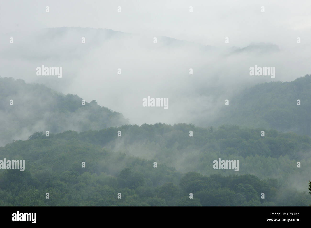 Mountain landscape with fog above green hills Stock Photo