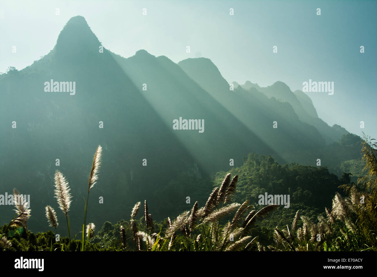Beautifull landscape in Laos with mountain peaks in background. Stock Photo