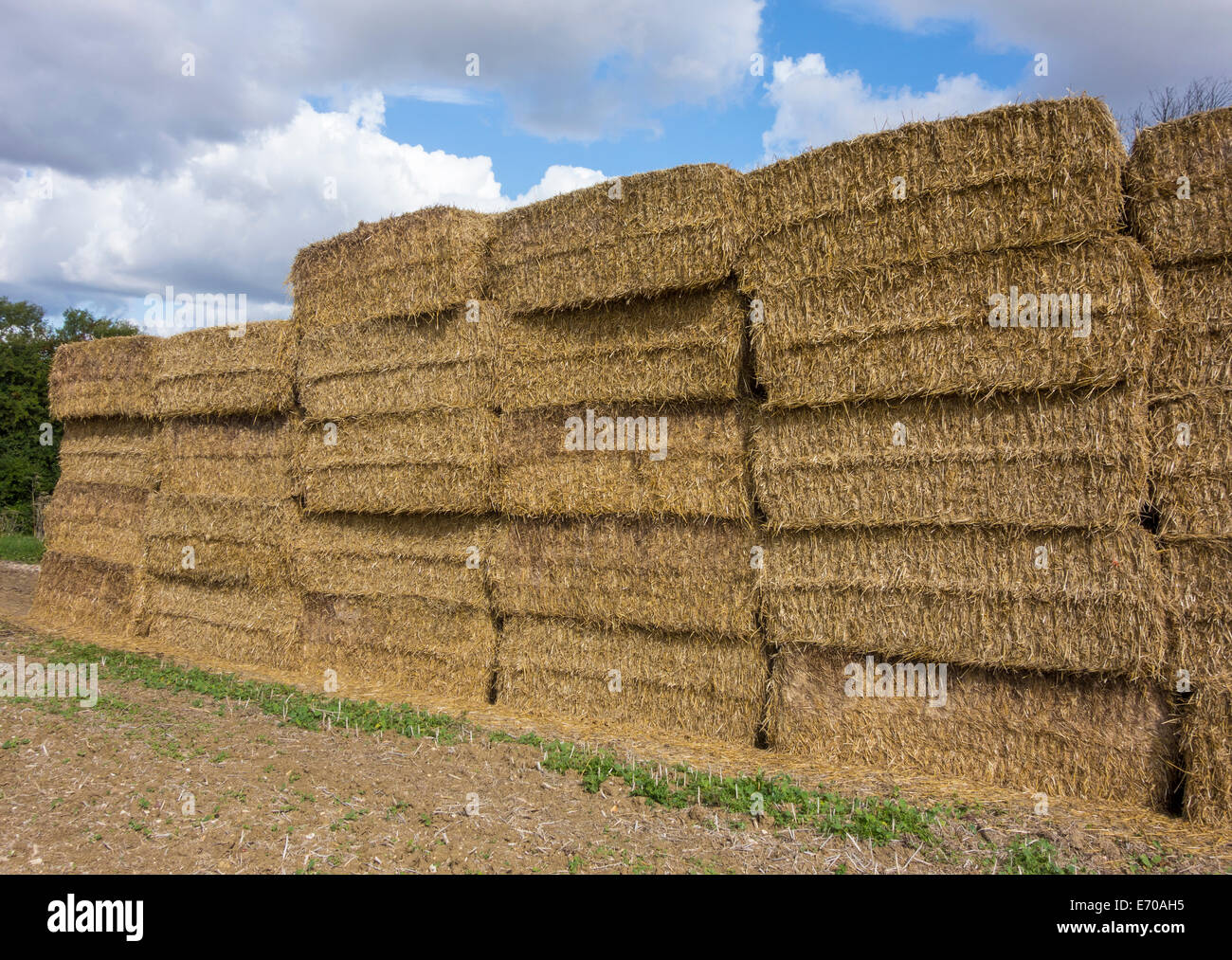 Straw bales Stock Photo