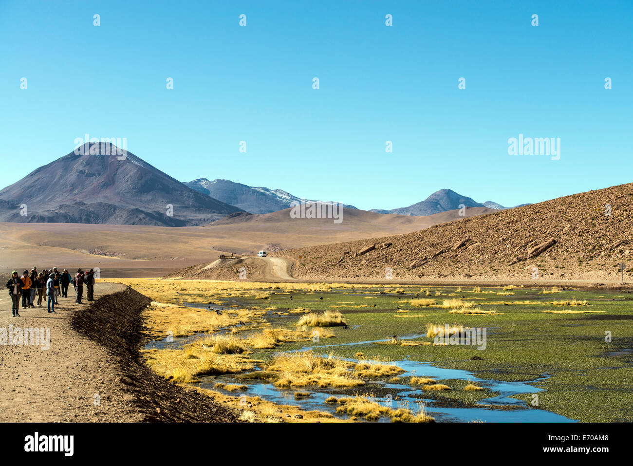 Putana river San Pedro de Atacama Chile South America Stock Photo