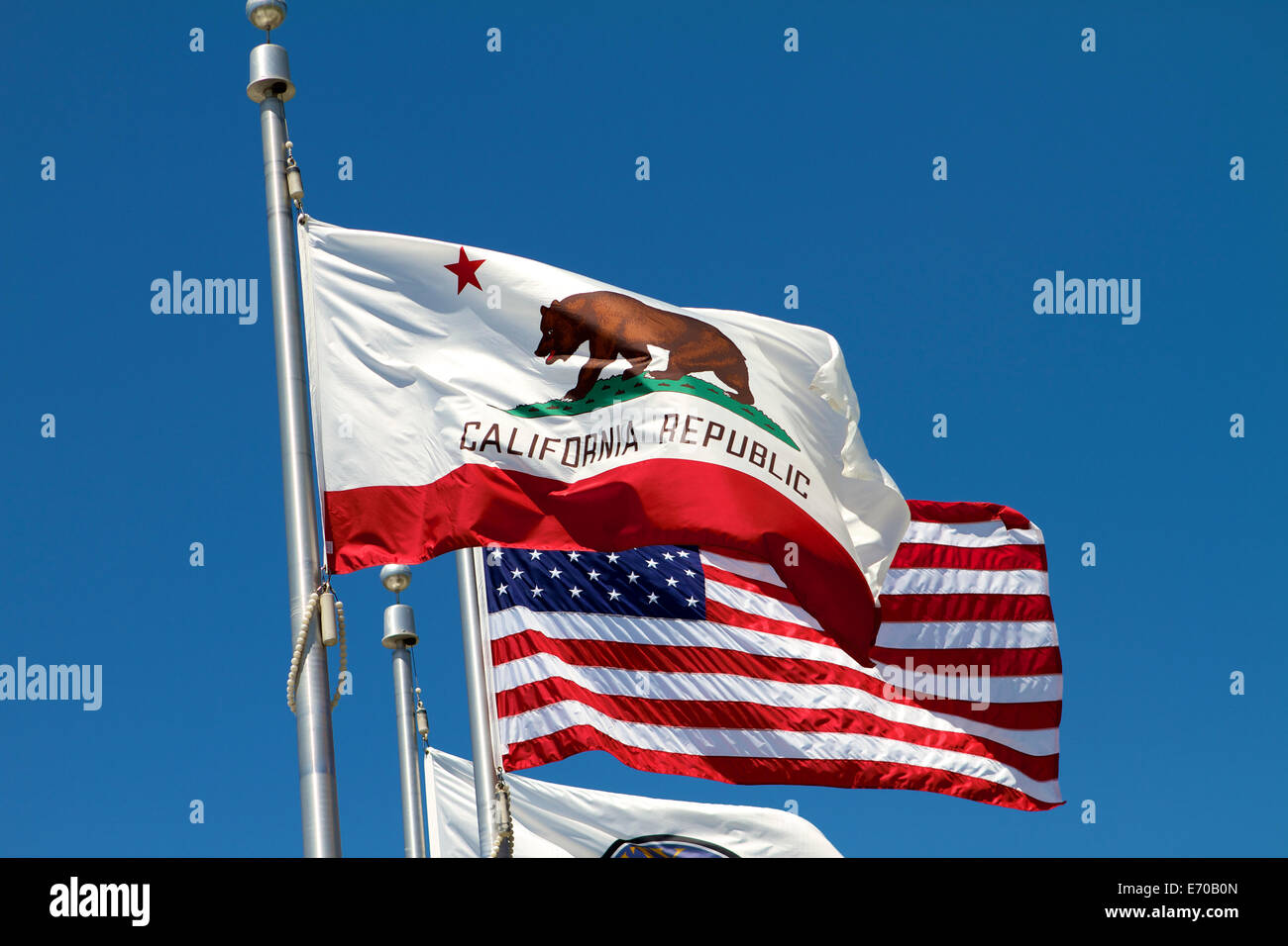 The flags of the United states of America and California fly next to each other against a vivid blue sky Stock Photo