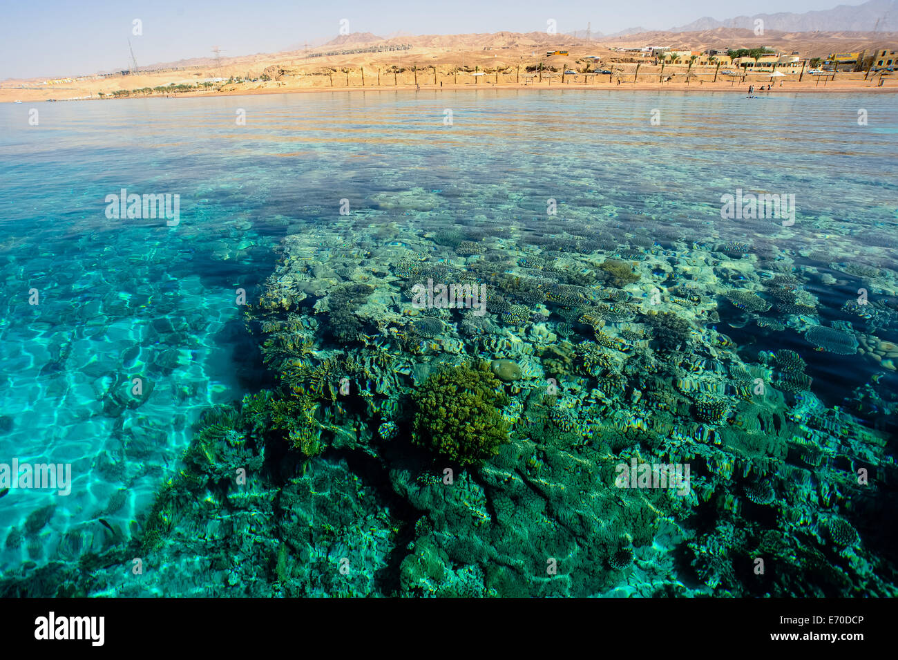 Jordan. Japanese Gardens is a popular beach and dive site south of