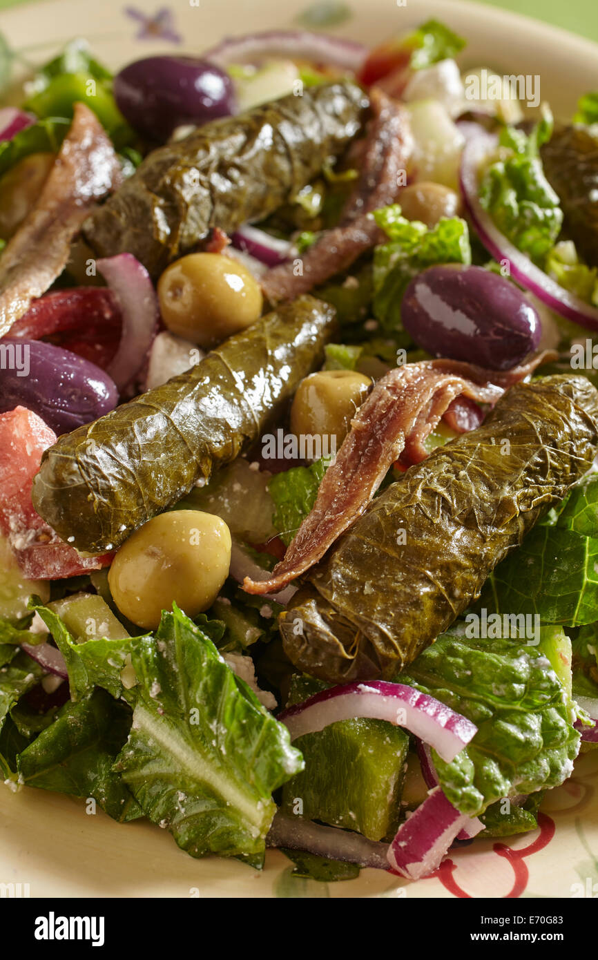 American Diner style Greek Salad Stock Photo