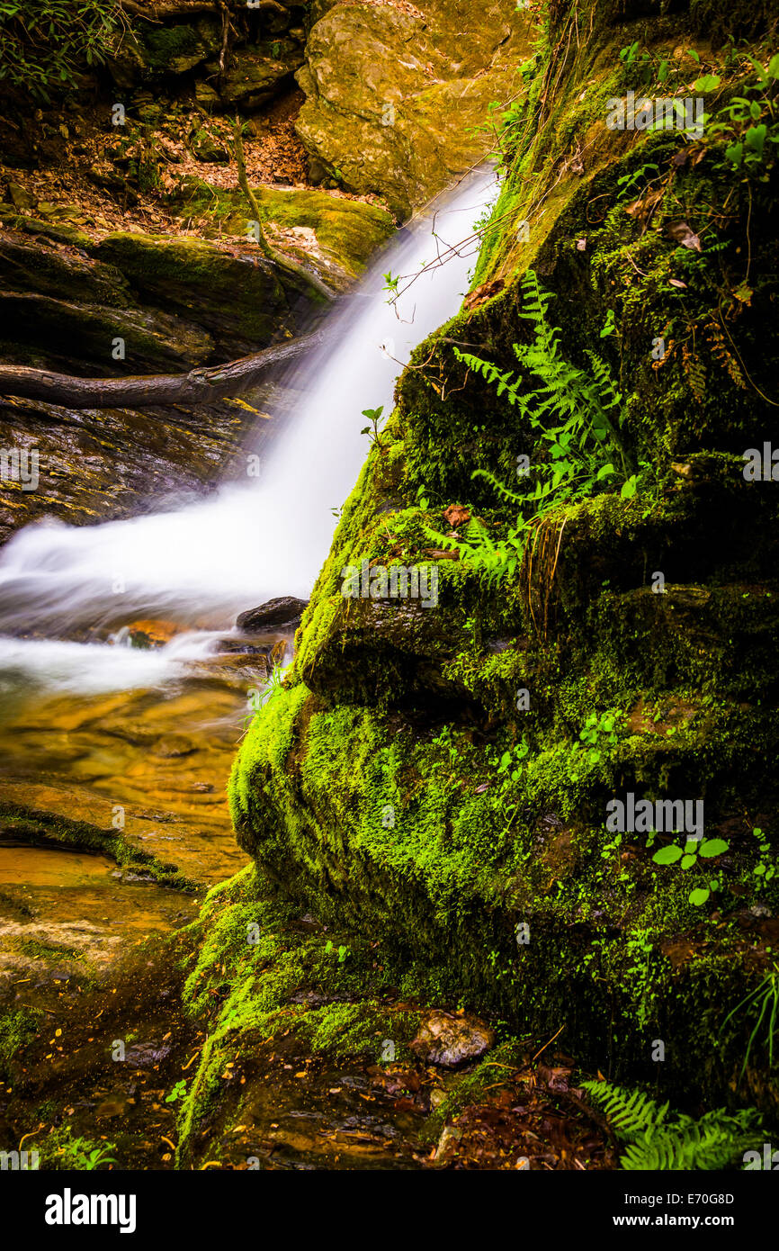 Rock river ferns rock river hires stock photography and images Alamy