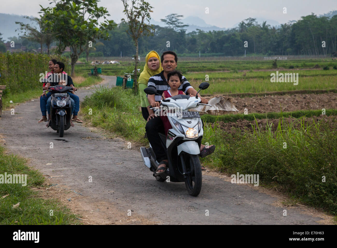 Borobudur, Java, Indonesia.  Two Families on Rural Road. Stock Photo