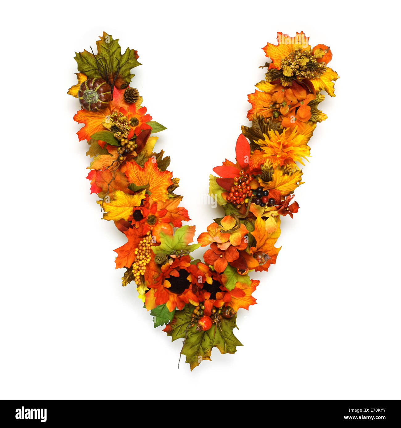 Autumn alphabet Stock Photo Alamy