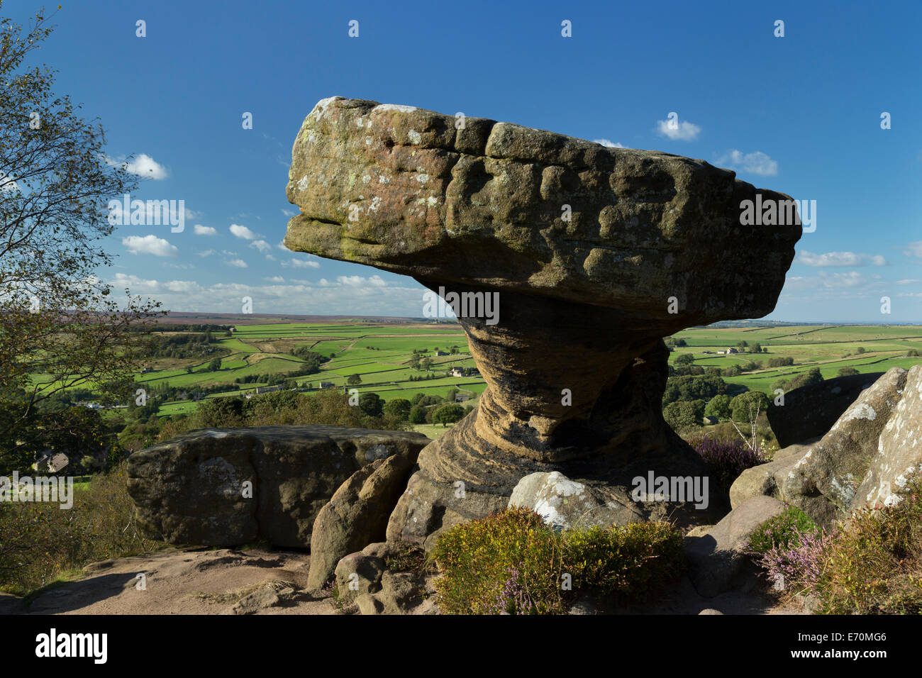 Brimham Rocks in Nidderdale, The Yorkshire dales, England. Stock Photo