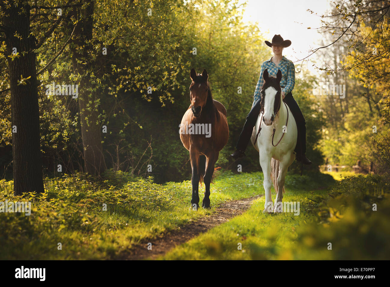 Female western rider on a Paint Horse, Black Tobiano colour pattern, leading a bay Shagya Arabian horse, riding bareback through Stock Photo