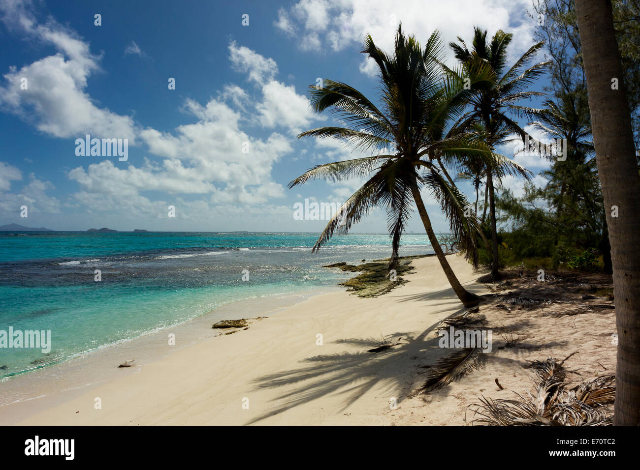 Tranquil Palm Island Beach with Palm Trees and Distant View of the