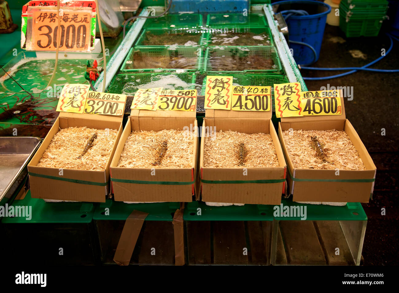 Tsukiji fish market, Tokyo, Japan, Asia, the largest wholesale seafood