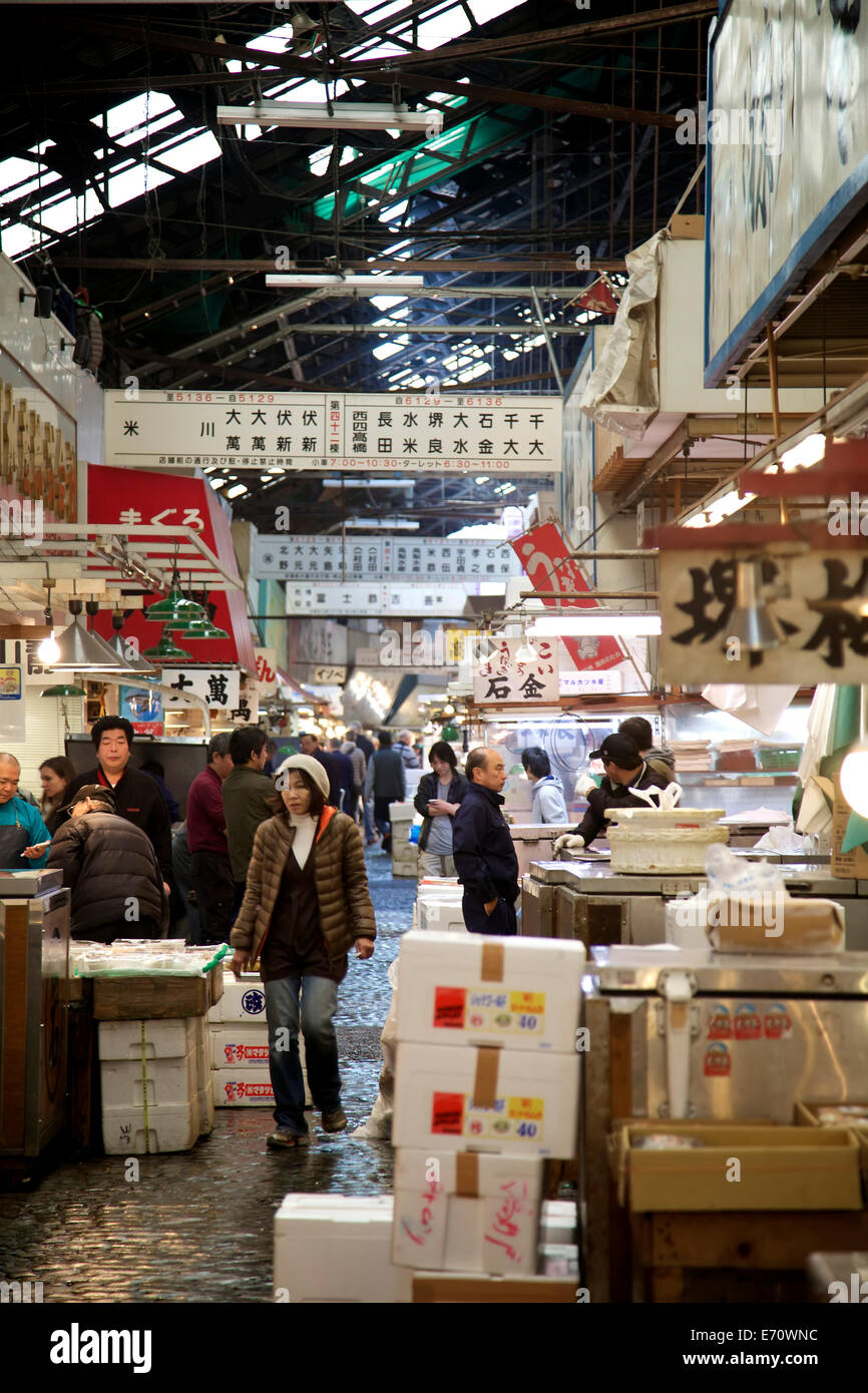 Tsukiji fish market, Tokyo, Japan, Asia, the largest wholesale seafood