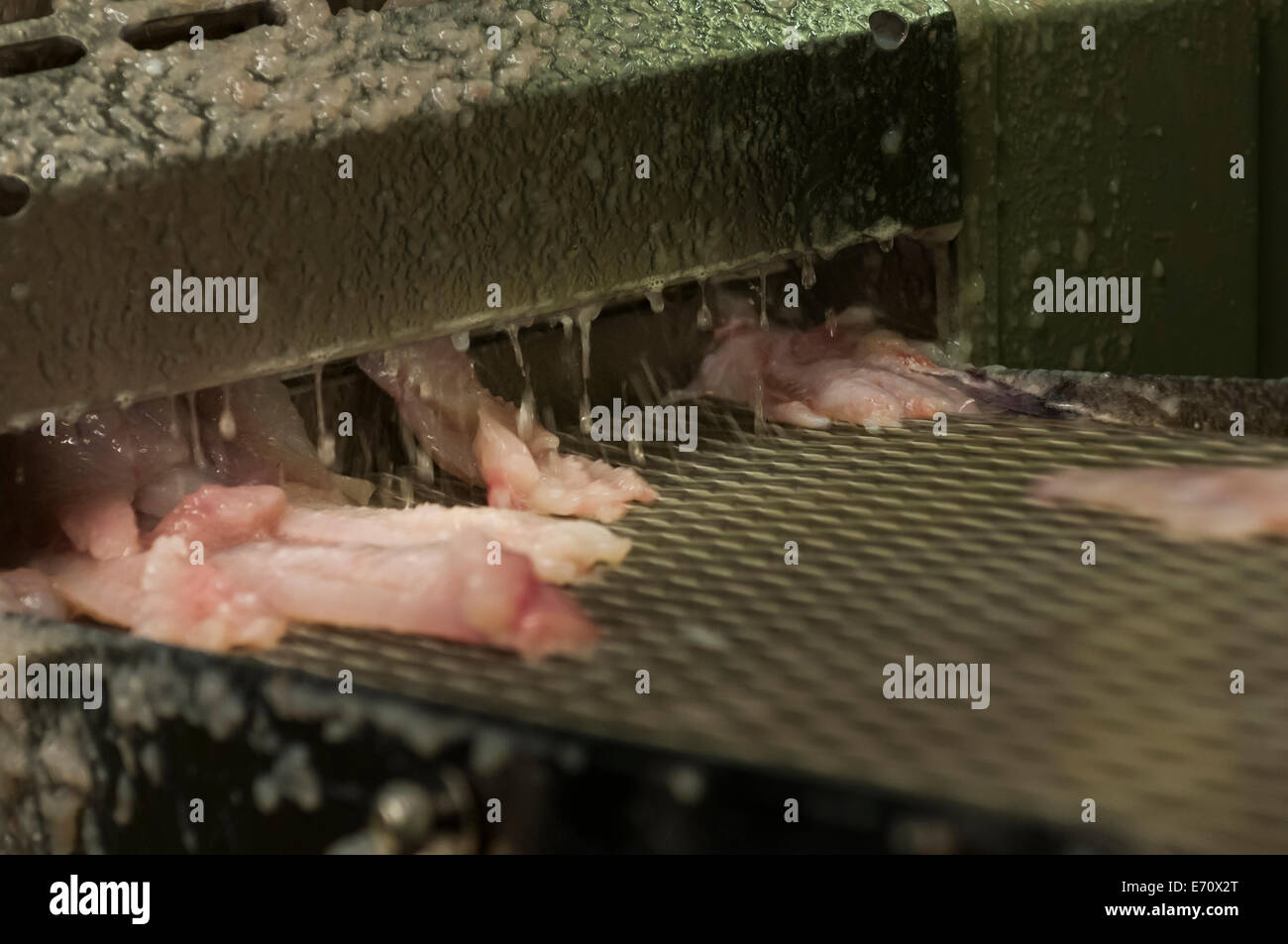 Download Ungebildeter For Free Ungebildeter