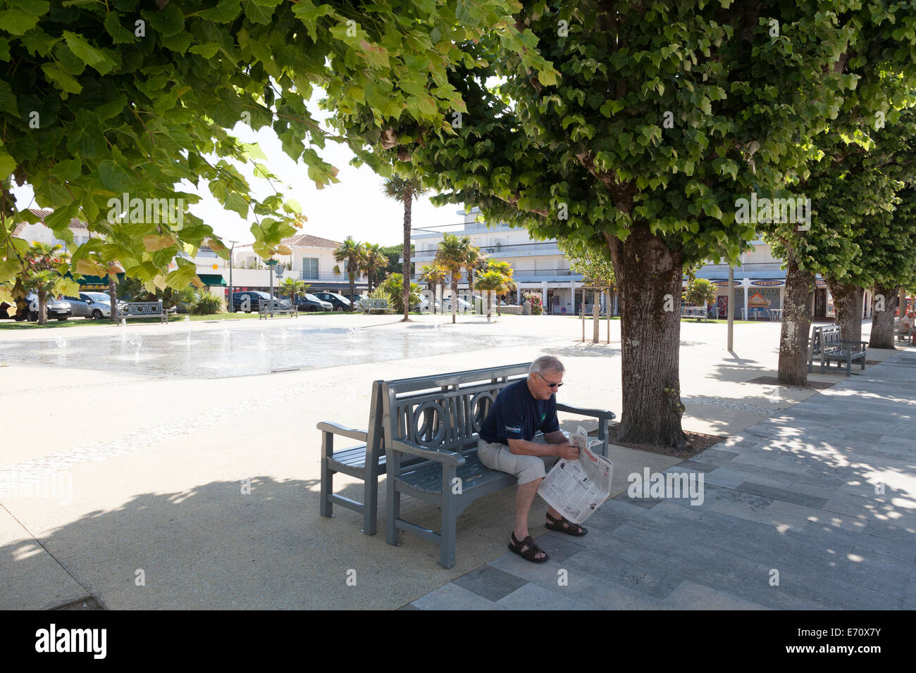 Man reading newspaper sitting on bench under shade of tree in town square. Stock Photo