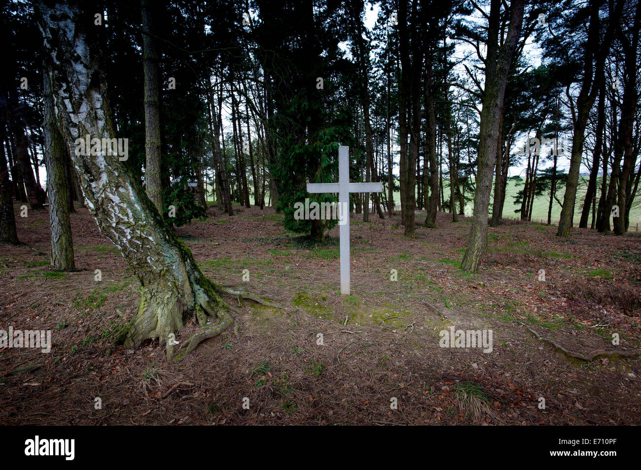 Somme WW1 Battlefield, July 1st-November 1916, France. Sheffield Memorial Park. February 2014 Seen Here: Memorial to Private Alb Stock Photo