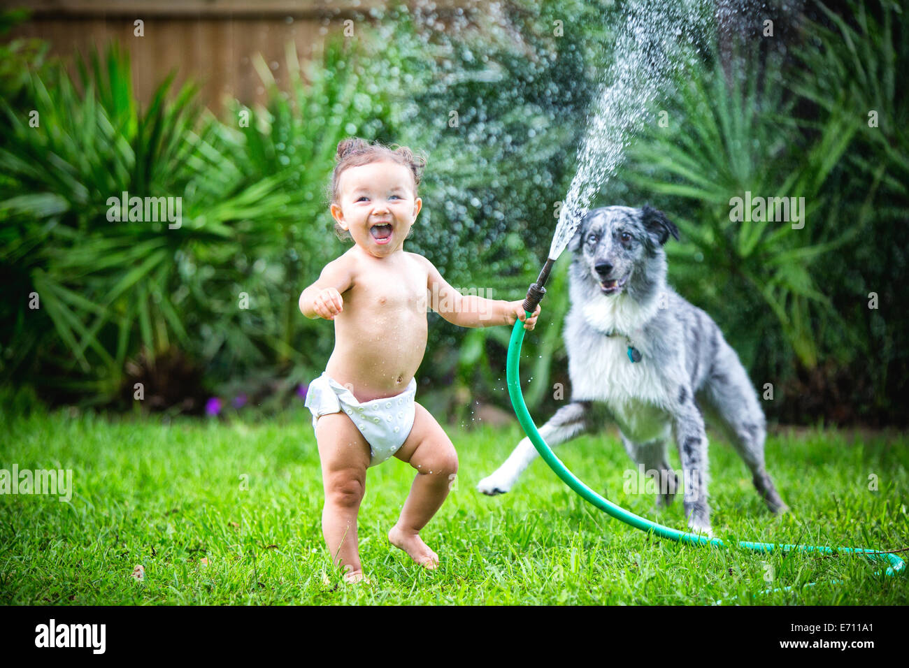 Toddler girl holding water hose, playing with dog Stock Photo