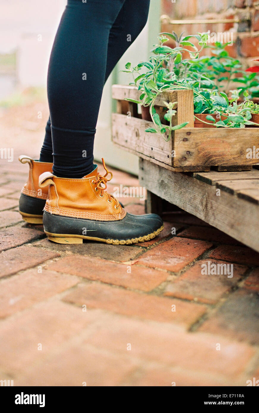 A woman wearing waterproof boots, with a box of seedlings. Stock Photo