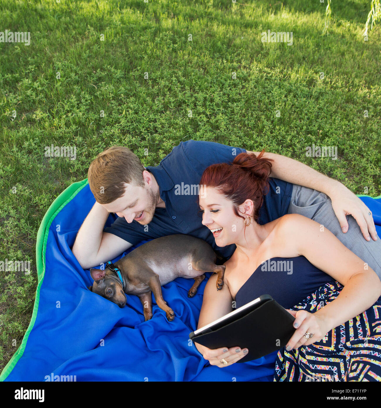 A couple on a blue rug with a small dog. A woman holding a digital tablet. Stock Photo