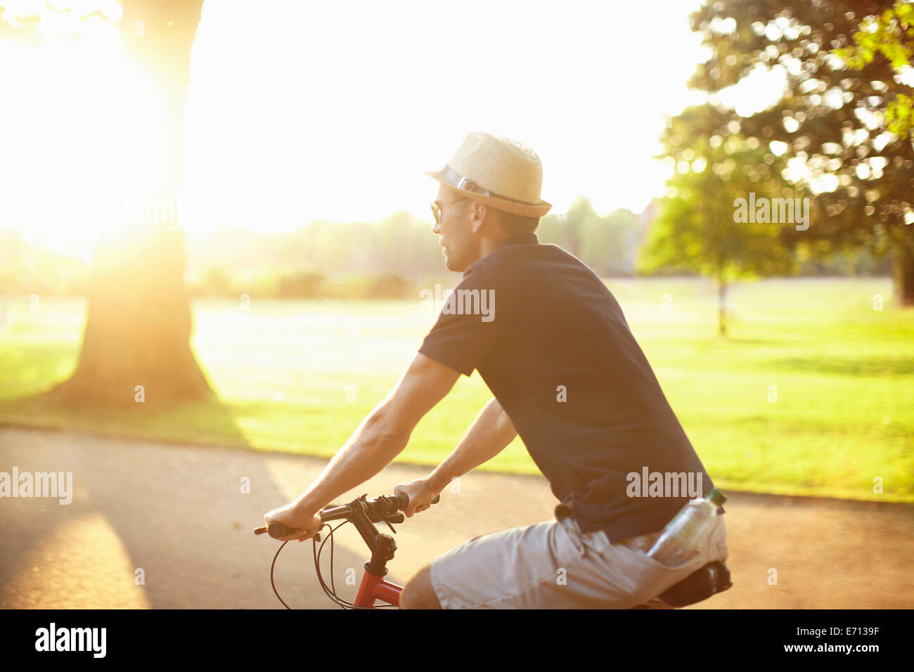 Mid adult man riding bicycle in sunlit park Stock Photo
