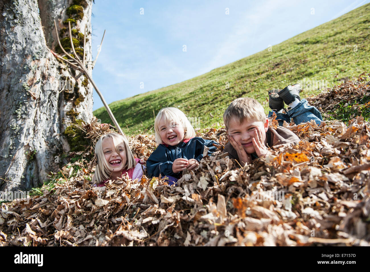 Three playful children in autumn leaf heap Stock Photo