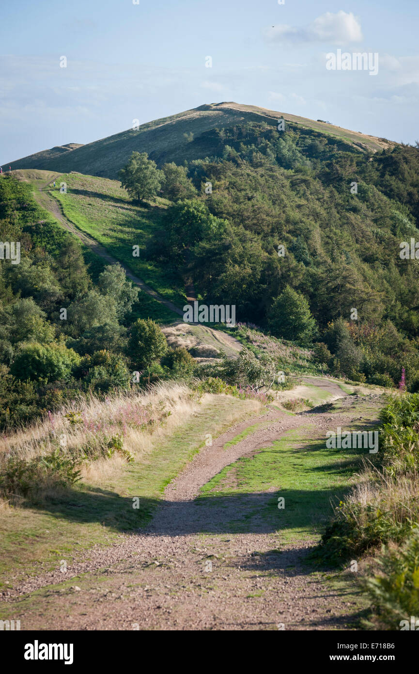 Jubilee Hill and Pinnacle Hill (behind), Malvern Hills, Worcestershire, UK. Stock Photo