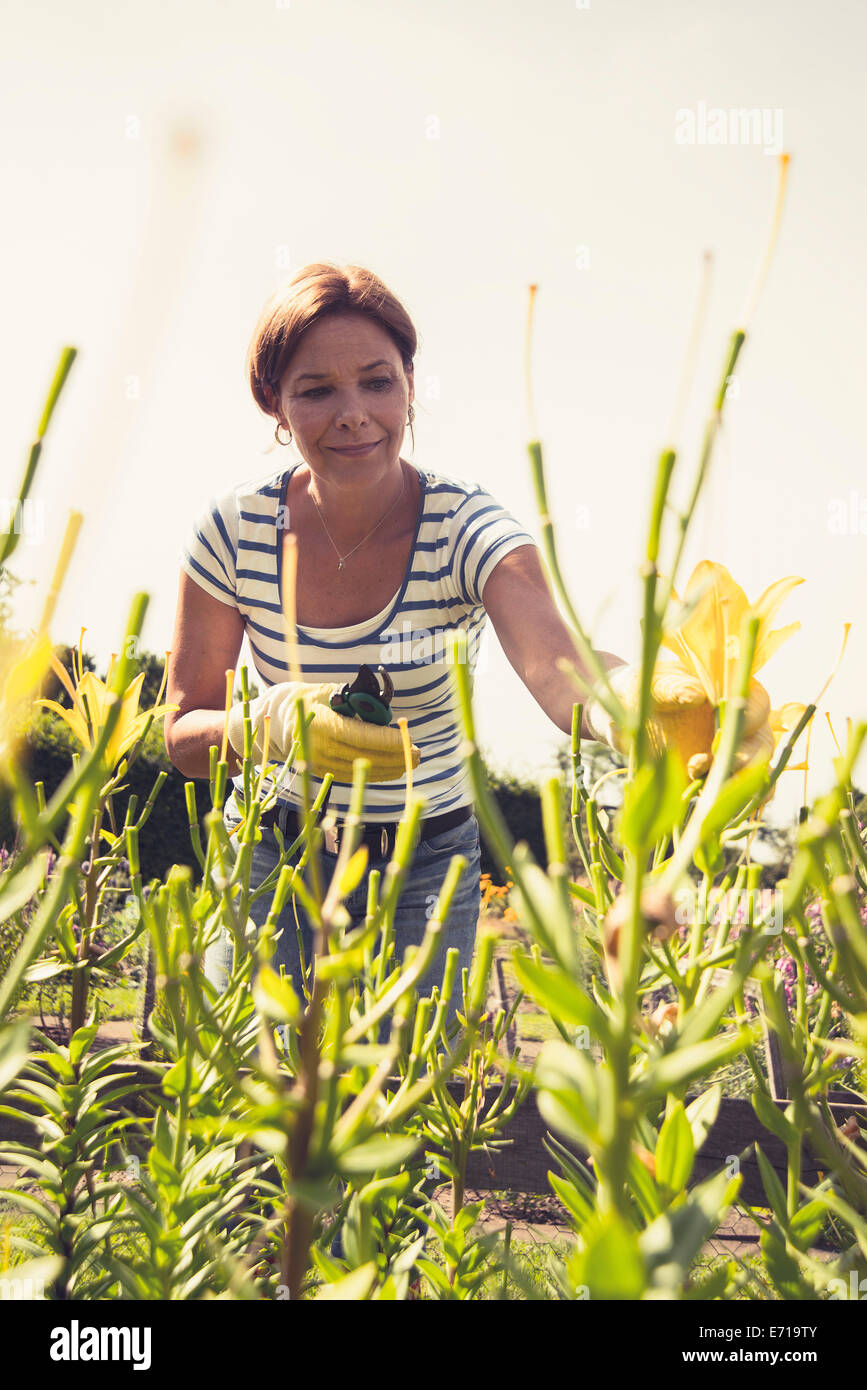 Mature woman gardening Stock Photo - Alamy