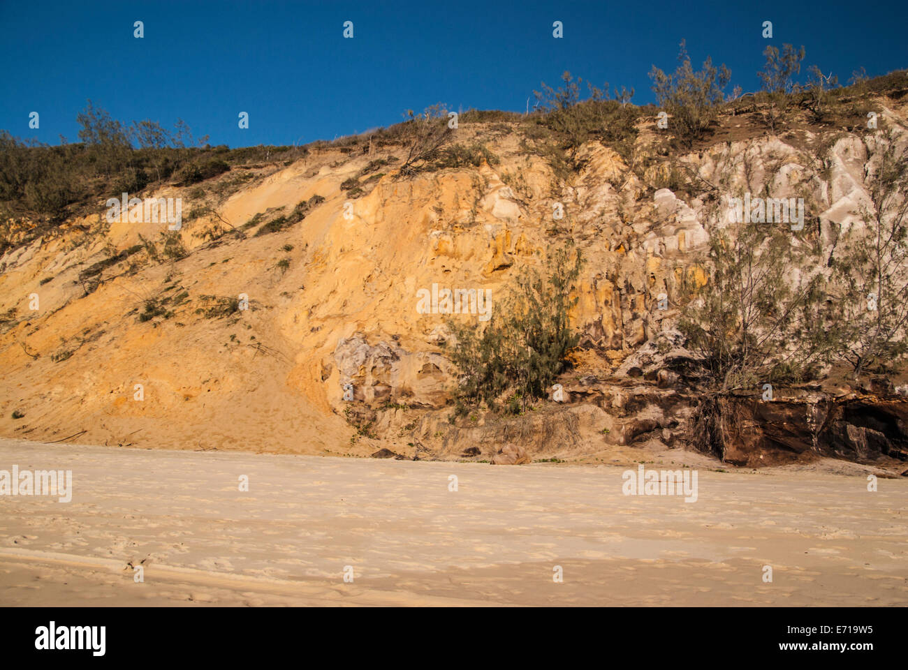 Wide bay australia login