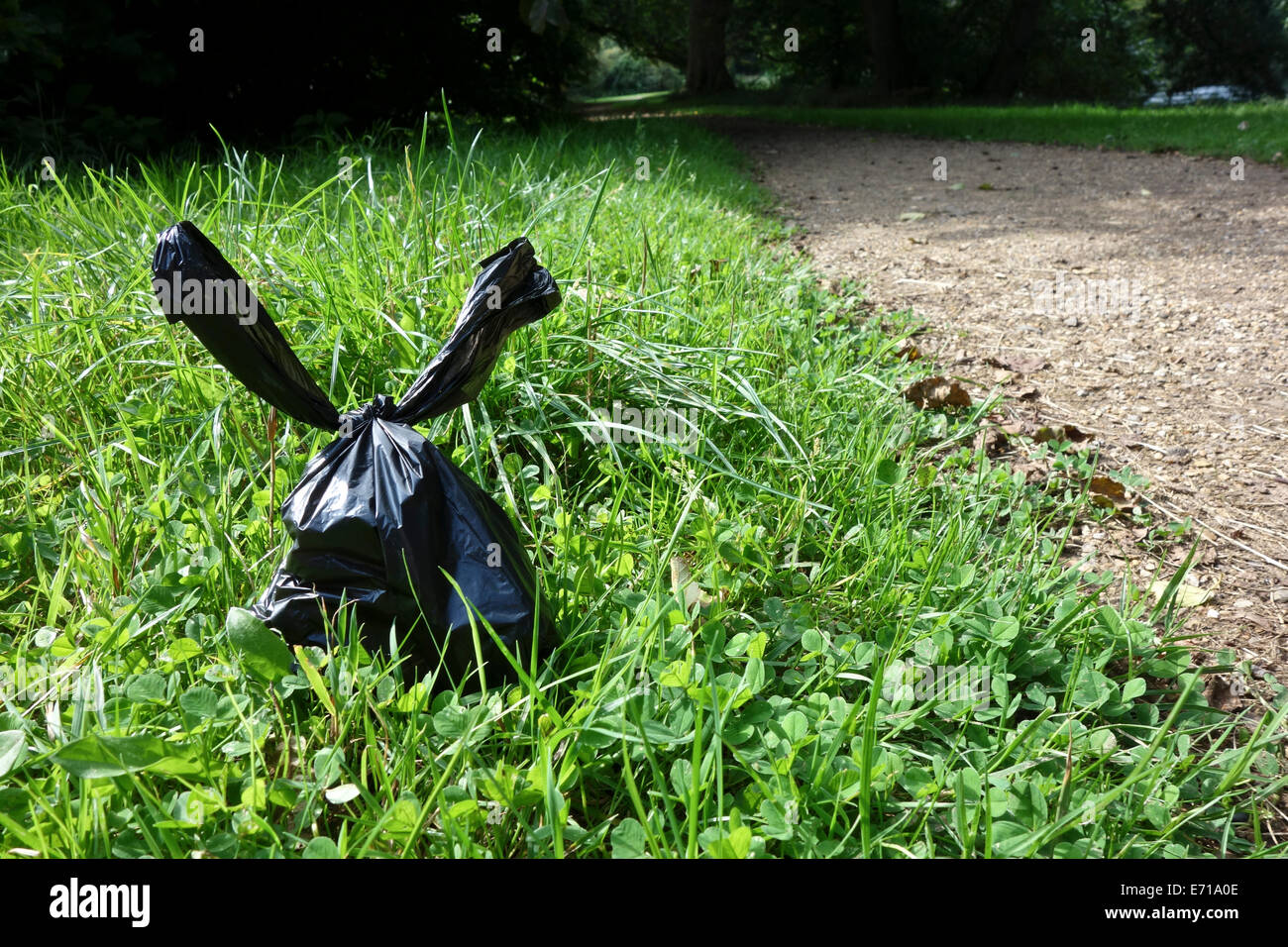Dog waste poo black bag left on path Stock Photo