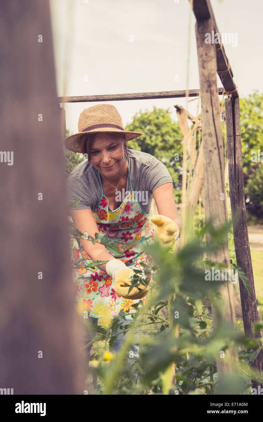 Mature woman gardening Stock Photo - Alamy