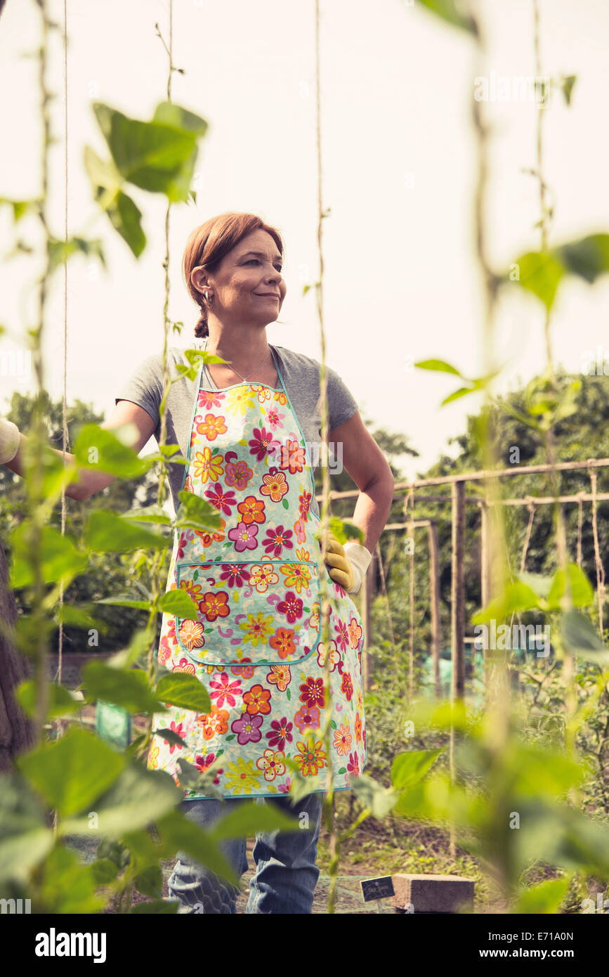 Mature woman gardening Stock Photo - Alamy