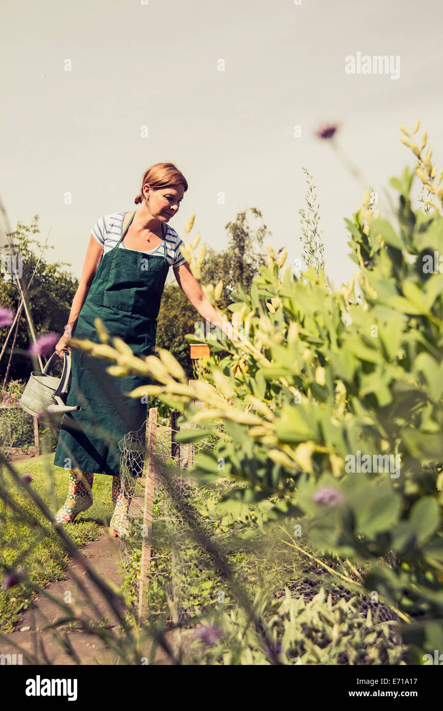 Mature woman gardening Stock Photo - Alamy
