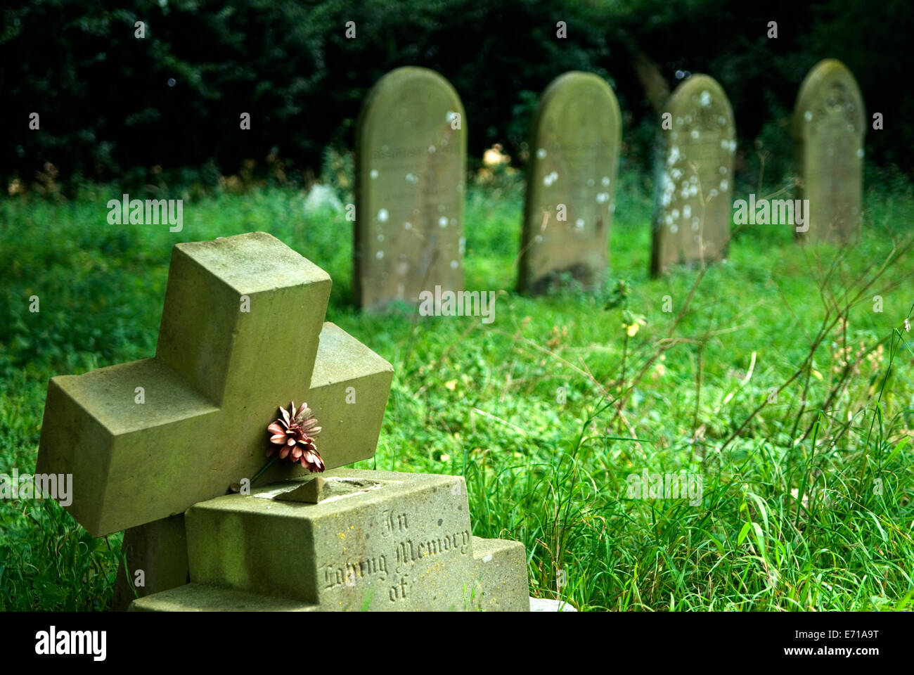 Abandoned  cemetery uk  HOMER SYKES Stock Photo