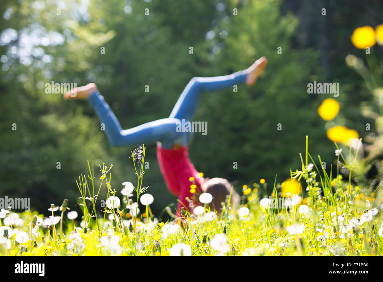 Teenage girl doing handstand on a flower meadow Stock Photo
