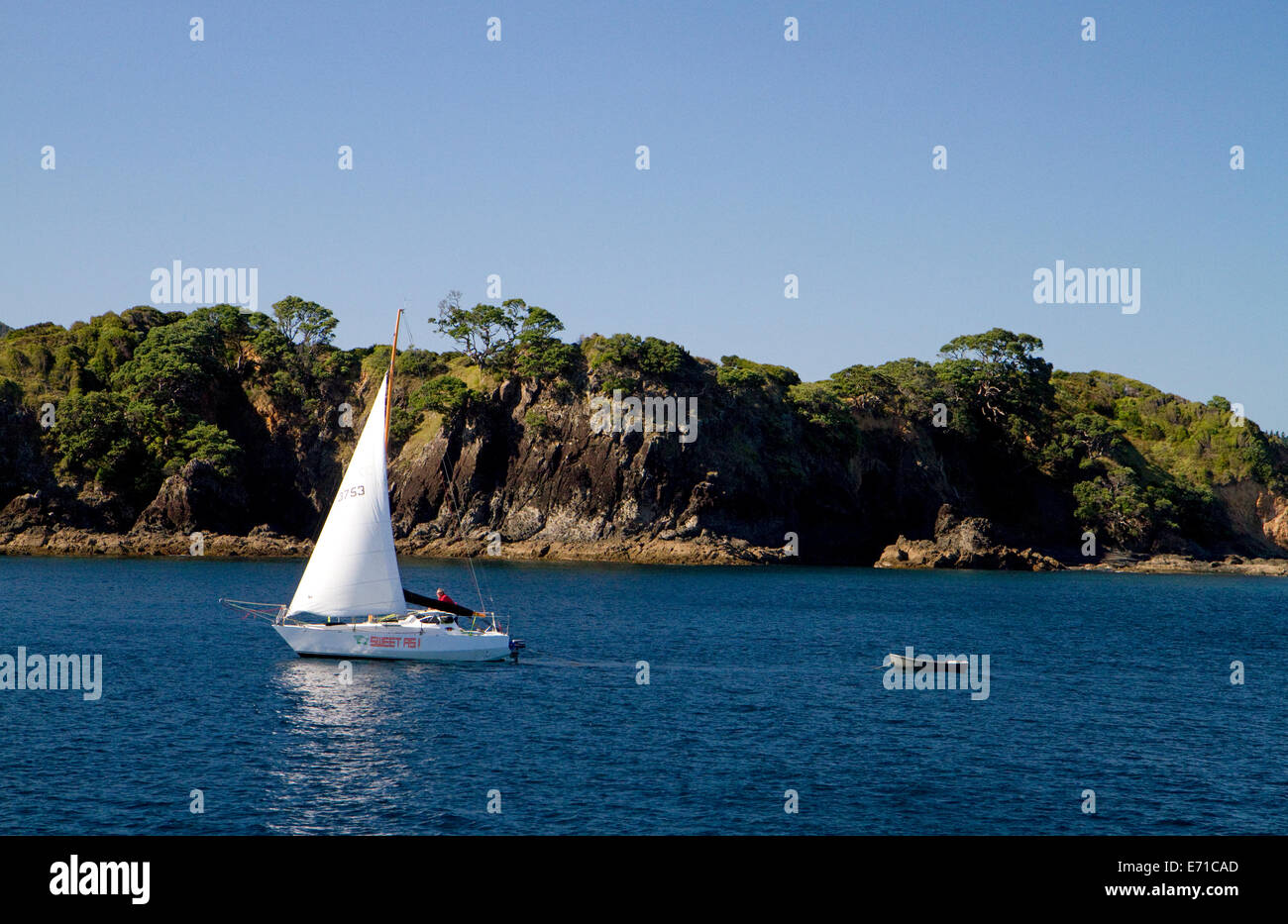 Sail boat in the Bay of Islands, North Island, New Zealand. Stock Photo