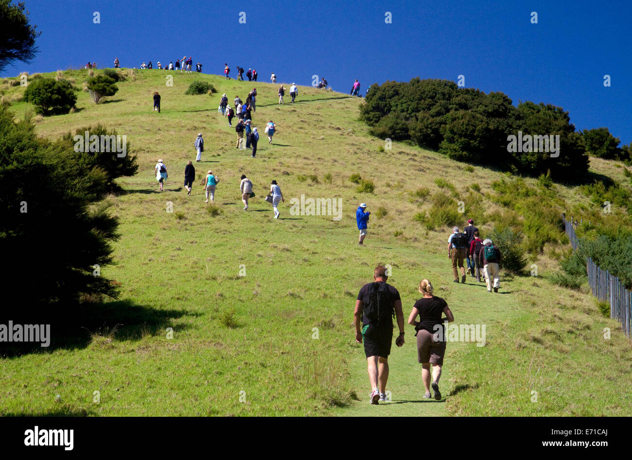 Tourists hike on an island in the Bay of Islands, North Island, New Zealand. Stock Photo