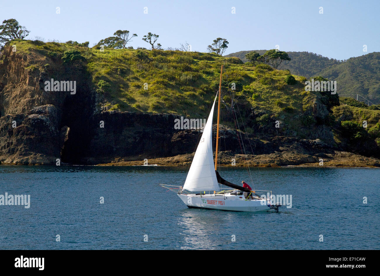 Sail boat in the Bay of Islands, North Island, New Zealand. Stock Photo