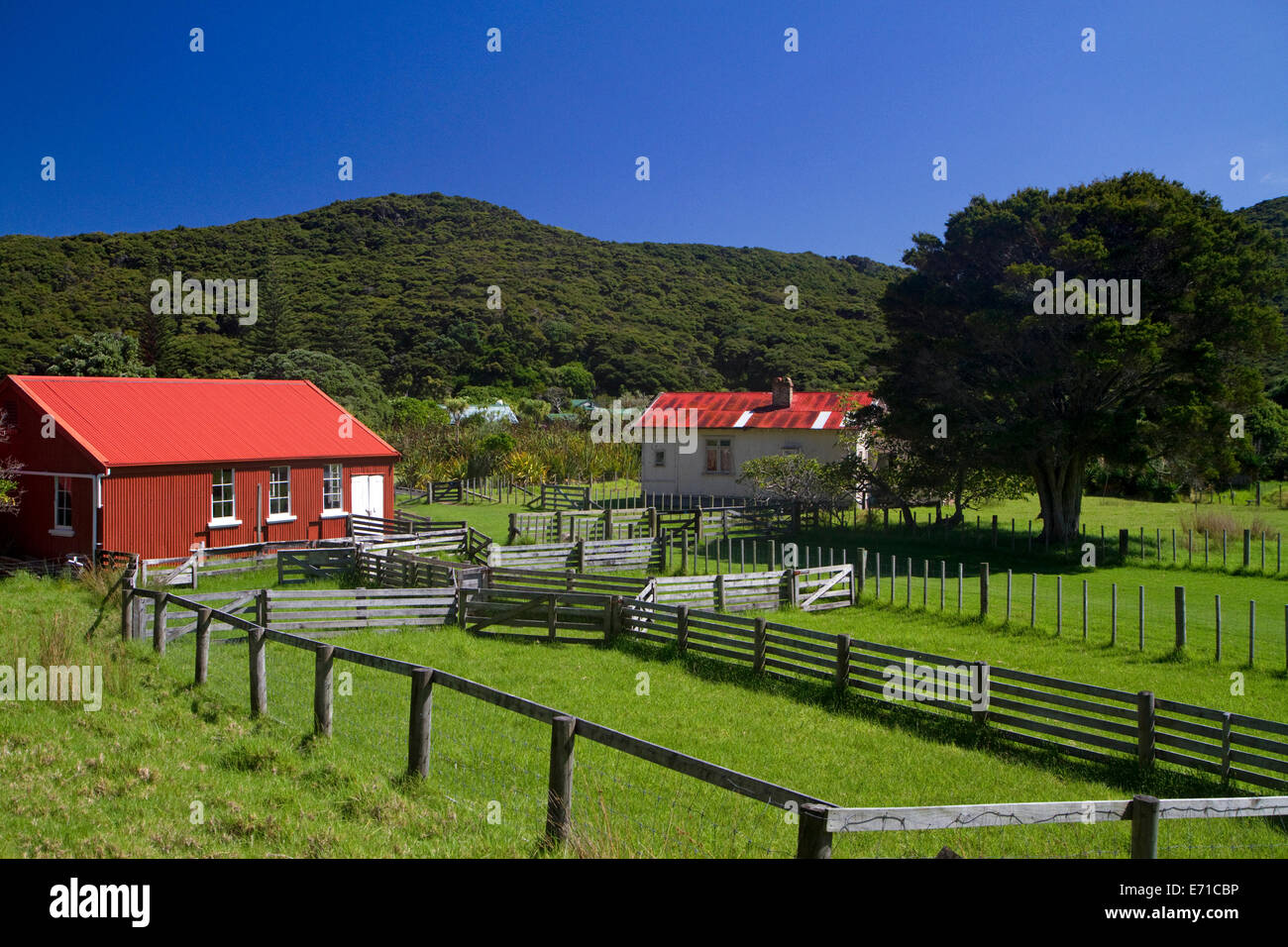 Old farmstead at the Bay of Islands in the Northland Region, North Island, New Zealand. Stock Photo