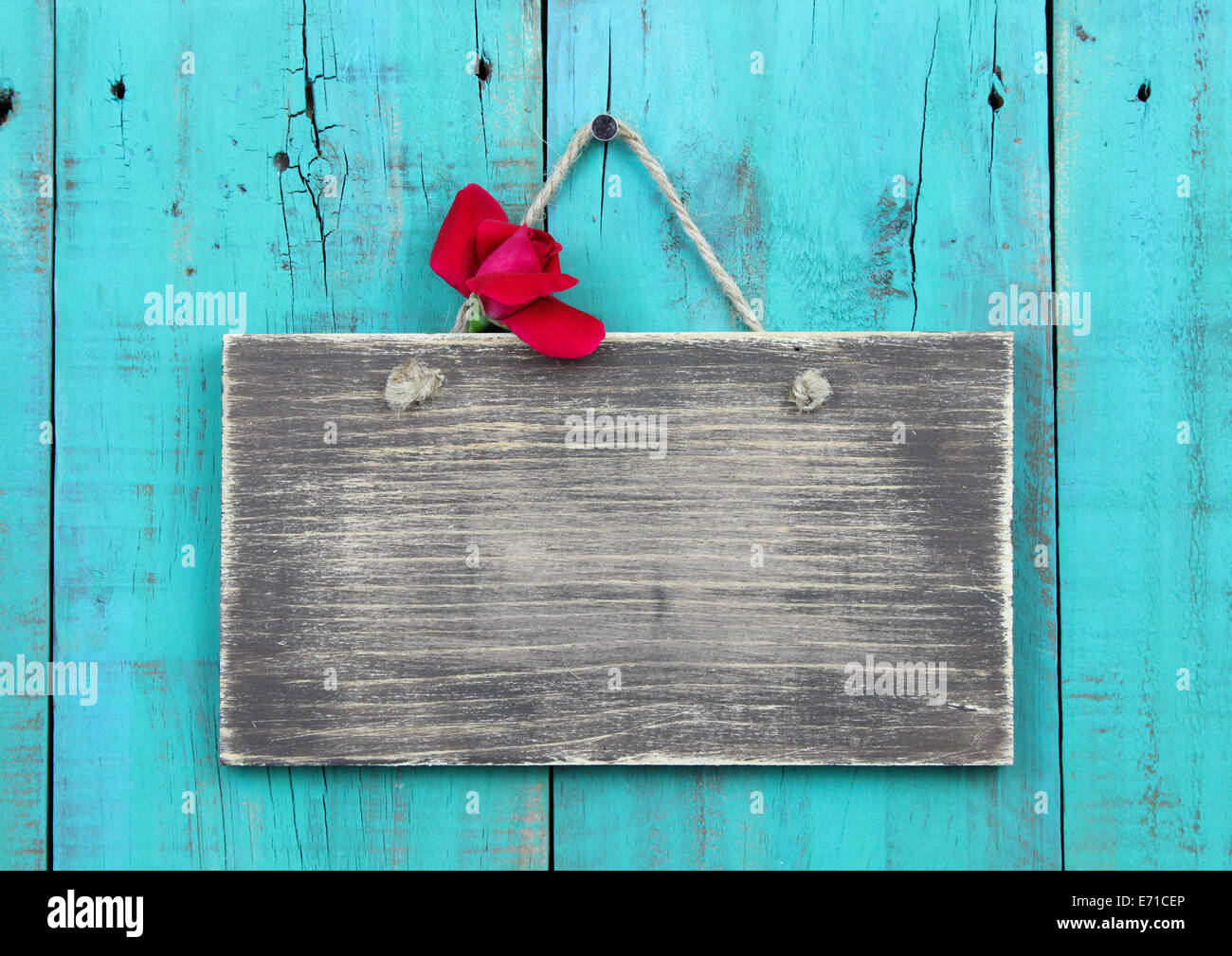 Weathered blank sign with red rose bud hanging on antique blue old wood door Stock Photo