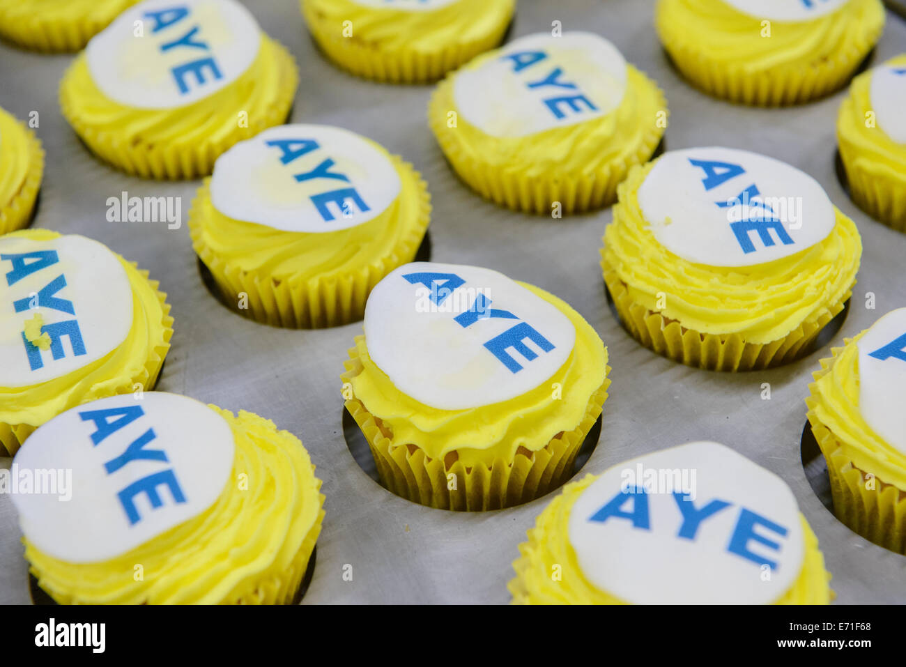 Branded cakes at brownings bakers bakery in kilmarnock hires stock