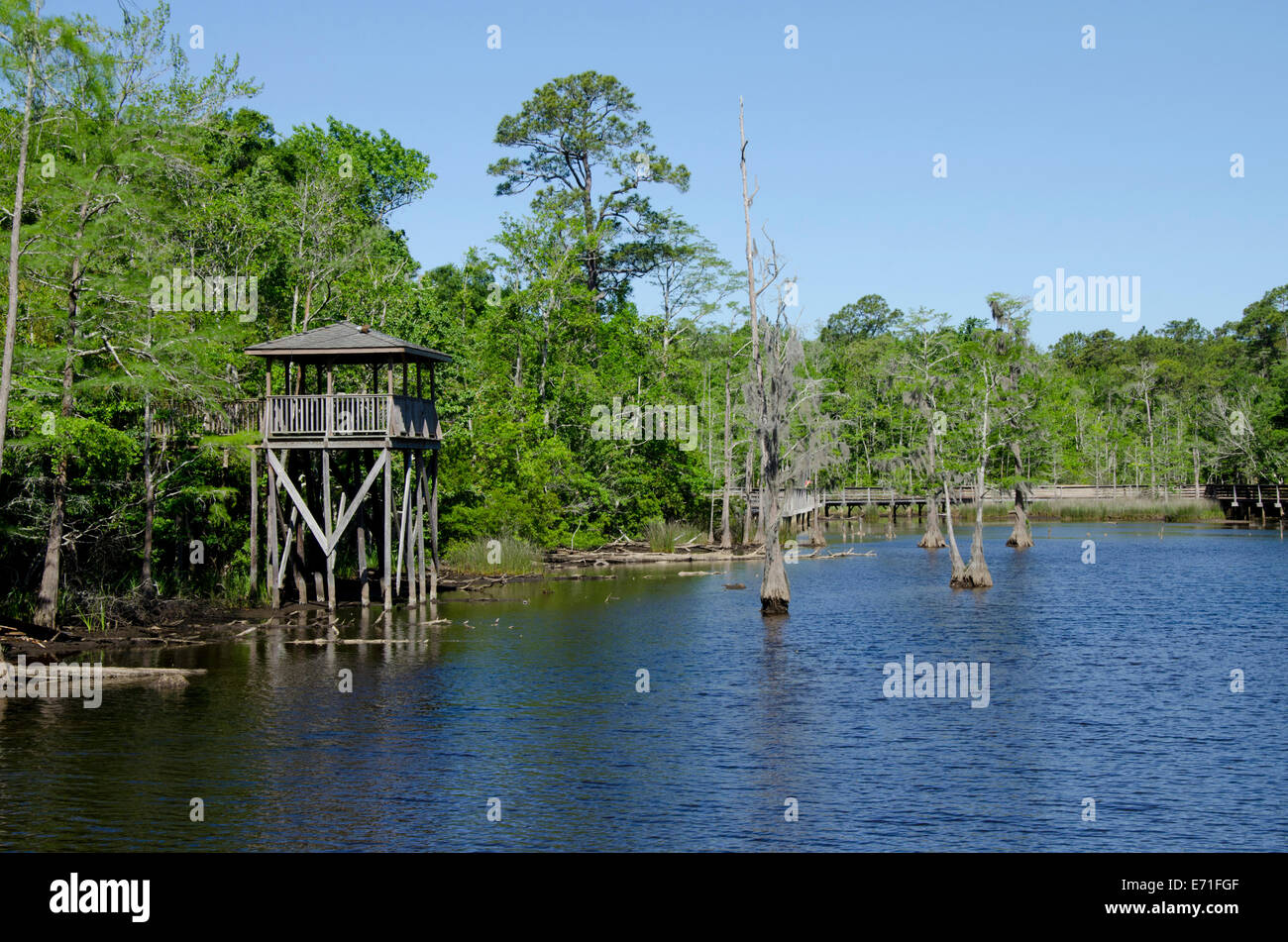 USA, Alabama, Theodore near Mobile. Historic Bellingrath Gardens and
