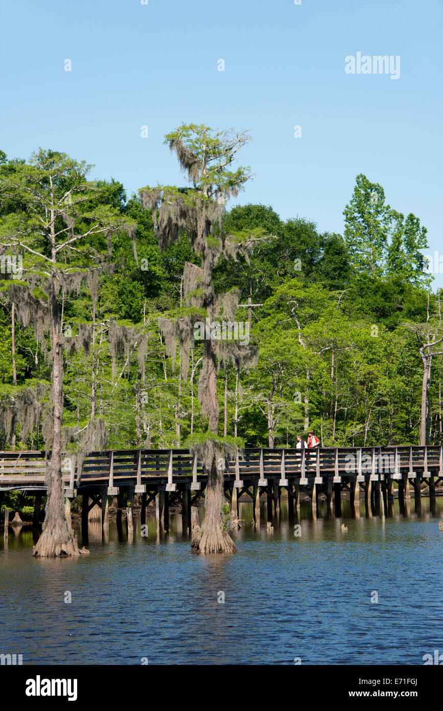 USA, Alabama, Theodore near Mobile. Historic Bellingrath Gardens and