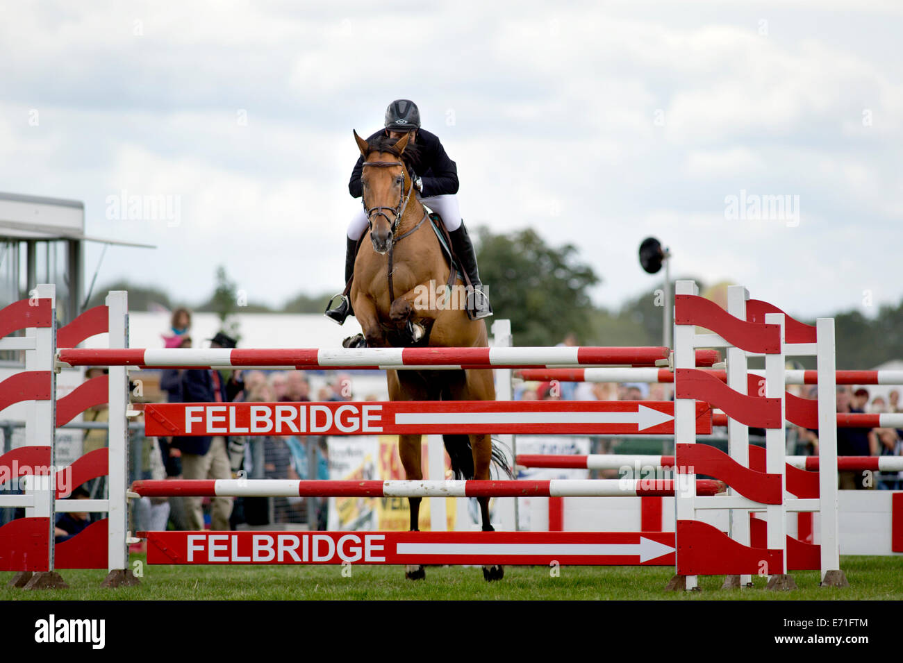 A horse and rider jump a fence in the show jumping competition at the Edenbridge and Oxted Agricultural Show in Surrey Stock Photo