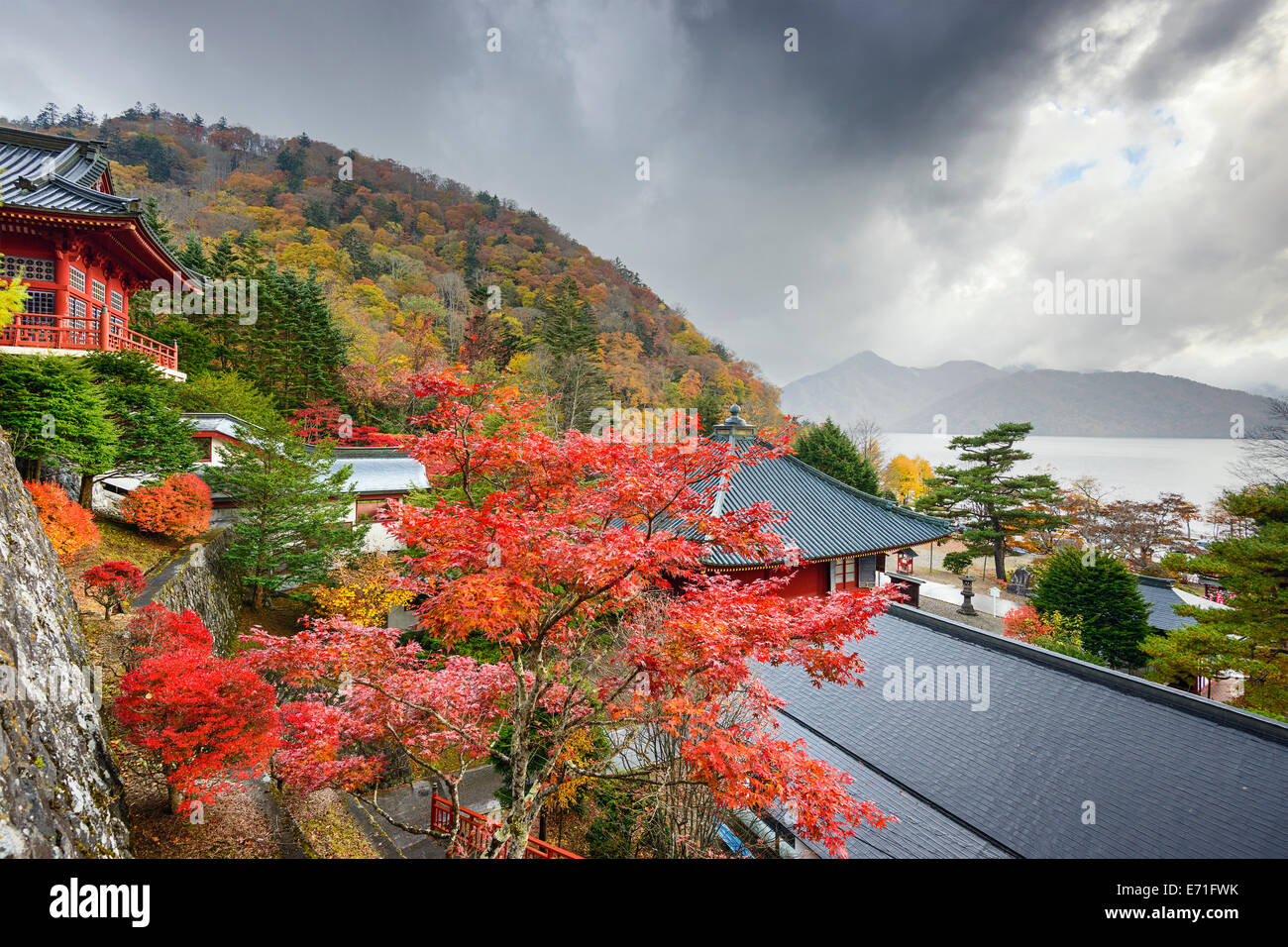 View of the Japanese temple in autumn with Mount Fuji in the View of the Japanese temple in autumn with Mount Fuji in the