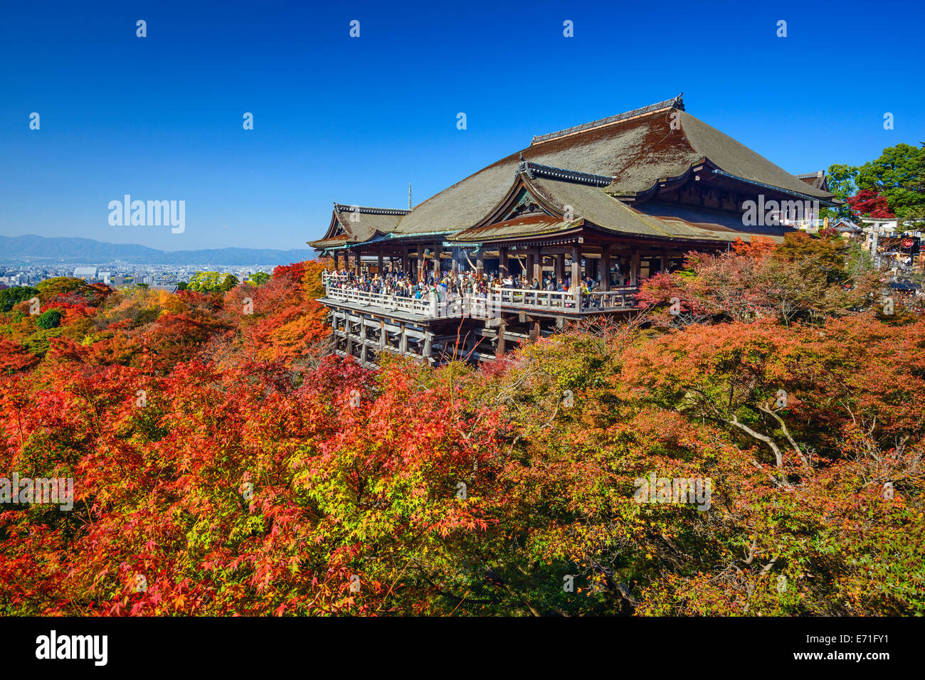 Kyoto, Japan at Kiyomizudera Temple in the autumn season. Stock Photo