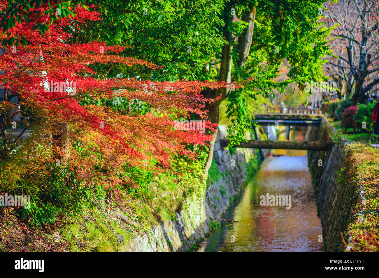 Kyoto, Japan at Philosopher's path in the autumn. Stock Photo
